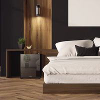 A-Stage 1ドア冷蔵庫 32L ミラーガラス (ペルチェ式：ブラック)AR-32L01MG　1台（直送品）