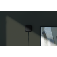 ネイチャー 【限定商品】Nature Remo mini 2 Premium REMO-2B2 1個（直送品）