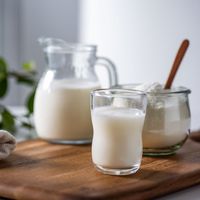 伊藤忠食品 からだスイッチ おとなのミルク習慣プレミアム 240g 10個 338463 1セット（直送品）