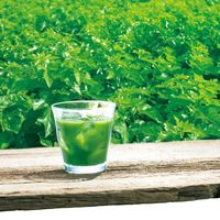 伊藤忠食品 からだスイッチ 減肥ラブレ青汁 2g*30袋 12個 933462 1セット（直送品）