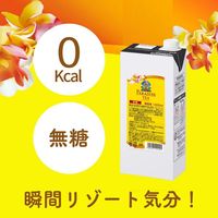 UCC上島珈琲 パラダイスティー 無糖 1000ml 1セット（24本）