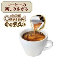 メロディアン アラカフェキャラメル 1袋（10ml×20個入）