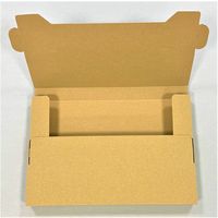 ゆうパケット対応薄型ダンボール 1セット（100枚：10枚入×10袋） 縦226×横336×厚さ30mm RGコンテナー