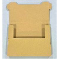 【高さ3cm対応】ネコポス対応薄型ダンボール 1セット（100枚：10枚入×10袋） 縦226×横310×厚さ30ｍm RGコンテナー