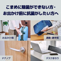 ウェットティッシュ 除菌シート 大王製紙 エリエール 除菌アルコールタオル 抗菌成分プラス携帯用30枚1袋（30枚入）×36袋