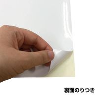 エヒメ紙工 日本製 光沢ラベルシール用紙 A3サイズ ノーカットタイプ ST-A3-25 1セット（125枚：25枚×5）