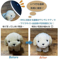 浅沼商会 LEDリングライト 1個