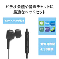 エレコム インナーイヤー型ヘッドセット/カナル/ミュートスイッチ付/左耳用/USB/ブラック HS-EP18UBK 1個