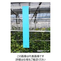 一色本店 ビタットトルシー S 徳用 100P 青色 50×350mm 50X350mm 1個(100枚)（直送品）