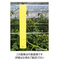 一色本店 ビタットトルシー S 25P 黄色 50×350mm 50X50mm 1個(25枚)（直送品）