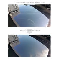 エスコ 125mm ギヤアクションポリッシャー EA809PT-10A 1台（直送品）