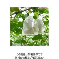 一色本店 ALPS 果実袋 ぶどう(キャンベル・ベリーA)用掛袋 MRF #4 50P Kー15 1セット(100枚:50枚×2個)（直送品）
