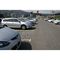 グラス・ファイバー工研 駐車場専用ラインテープ ブーブーライン 30mm 砂利用 BBL3-T1P 1巻（直送品）