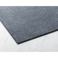 大一産業　消毒マットHardセット（吸水マット900mm×1500mm・レッド 付き）　1式（直送品）