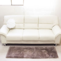 ムートンクッション 淡色 40×120 ロング 小豆 日本製 シートクッション 座布団（直送品）