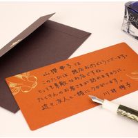 山櫻 かしこ長方形カード・封筒　金魚　10袋セット 351211 1セット（1種×10袋）（直送品）