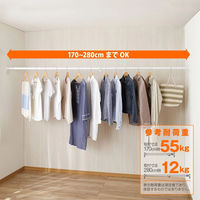 HEIAN SHINDO 突ぱり簡単極太ポール L 平安伸銅工業(株) 1本（直送品）