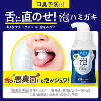 歯磨き粉 ピュオーラ 泡ハミガキ フレッシュミントの香味 つめかえ 100mL 花王