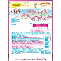 【アウトレット】グミ 食べきりサイズ ワンワンデミーナグミ 60g 1セット（1個×6）