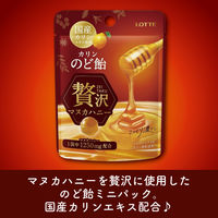 のど飴 キャンディ カリンのど飴 贅沢マヌカハニー ミニパウチ 25g 1セット（1個×24）