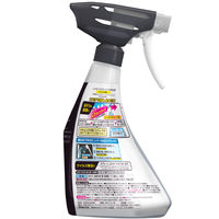 ルックプラス バスタブクレンジングHARD洗浄 本体 500mL 1セット（1個×2） ライオン