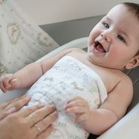 aden + anais　エイデンアンドアネイ ウォッシュクロス ブラッシングバニーズ 1セット（3枚入）ダッドウェイ