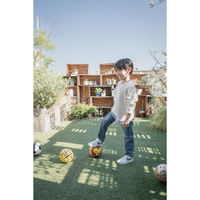 SFIDA スフィーダ フットボール ズー ライオン 1個 ダッドウェイ