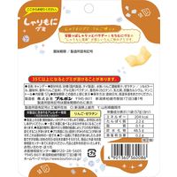 グミ たべ しゃりもにグミ りんご味 57g 1セット（1個×20）