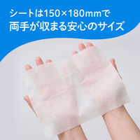 ウェットティッシュ エリエール ポケットウエットティシュー 99％純水 トイレに流せるタイプ 携帯用 1パック（7枚入×6個）大王製紙