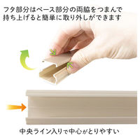 オーム電機 ABSモール 1号 91cm ブラウン 09-2806 1個（直送品）