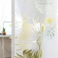 トモ・コーポレーション レースカーテン ラウキルト モンステラ柄 約105×178cm ライムグリーン 413145 1個（直送品）