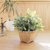 トモ・コーポレーション バスケット バンブー S 425420 1個（直送品）