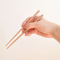 合同会社ビランク 箸箱ケース Hill&Fields 18cm 箸&ケース 479804 1個（直送品）