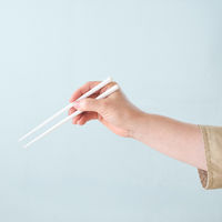 合同会社ビランク 箸箱セット FIG 18cm 箸&ケース カーキ 479848 1個（直送品）