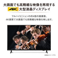 アイリスオーヤマ 大型ディスプレイ 50V型 DOーDU504SーB 1台