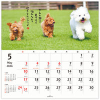 日本ホールマーク 日本HM2026年 壁掛リングカレンダー大 ほめわんこ 845292 1冊（直送品）