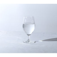 清水産業株式会社 サンテ ゴブレットグラス 400ml 2個組 120388 1セット(2個入)（直送品）