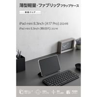 エレコム iPad mini ケース 8.3インチ(A17 Pro) マグネット式フラップ TB-A25SWVCBK 1個