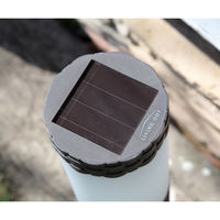 谷村実業 ラタン調ポールライト3本組 a34886 1セット(3本入)（直送品）