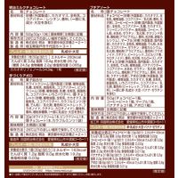 手作りキット バレンタイン お菓子作り 明治お菓子の家 1セット（1個×3）