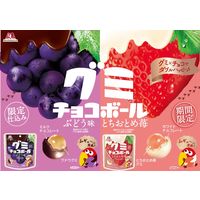 チョコレート菓子 グミ　食べきりサイズ グミチョコボール　ぶどう味　47g 1セット（1個×5）