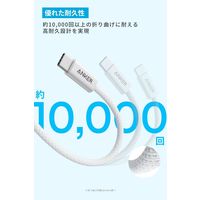 Anker Zolo USBーC & USBーA ケーブル 1.0m ブラック A8052011 1本