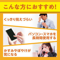 （数量限定おまけ付） DHC　ルテイン光対策（60日分）　1袋（7日持続型ビタミンＢミックス付）