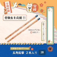 プラス 鉛筆 えんぴつ 2B 5角 （五角） 限定 受験生応援 41089 1セット（2本入）