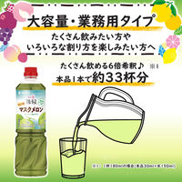 業務用フルーティス りんご酢マスクメロン（6倍濃縮タイプ）1000ml 1個 ミツカン 大容量 飲むお酢 リンゴ酢