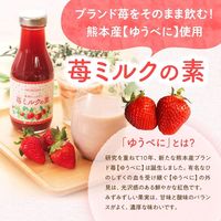 果肉たっぷり！苺ミルクの素390ｇ 1セット（1本×3） 福田農場 いちごミルクの素 国産 熊本産ゆうべに使用（3倍希釈）割り材