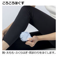 リッチェル キカケア マルチローラー 110103 1個（直送品）