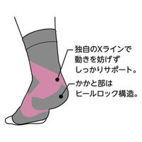 アルファックス エイドクロスサポーター 足首用・L 443216 1枚（直送品）