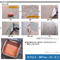 菊水化学工業 新環境配慮型剥離剤 キクスイ SPリムーバーエコ 1缶(16kg)（直送品）