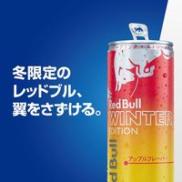 レッドブル エナジードリンク ウィンターエディション 250ml 1箱（24缶入）